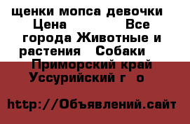 щенки мопса девочки › Цена ­ 25 000 - Все города Животные и растения » Собаки   . Приморский край,Уссурийский г. о. 